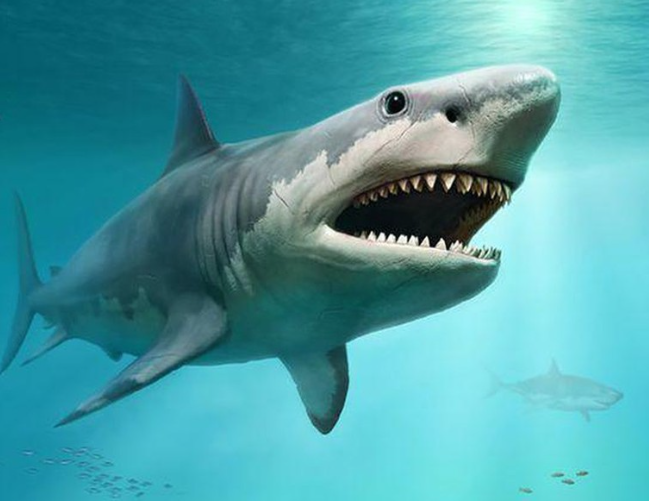 Điềm Báo Gì Ku bet Cho Chủ Nhân Giấc Mộng?